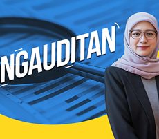 Pengauditan
